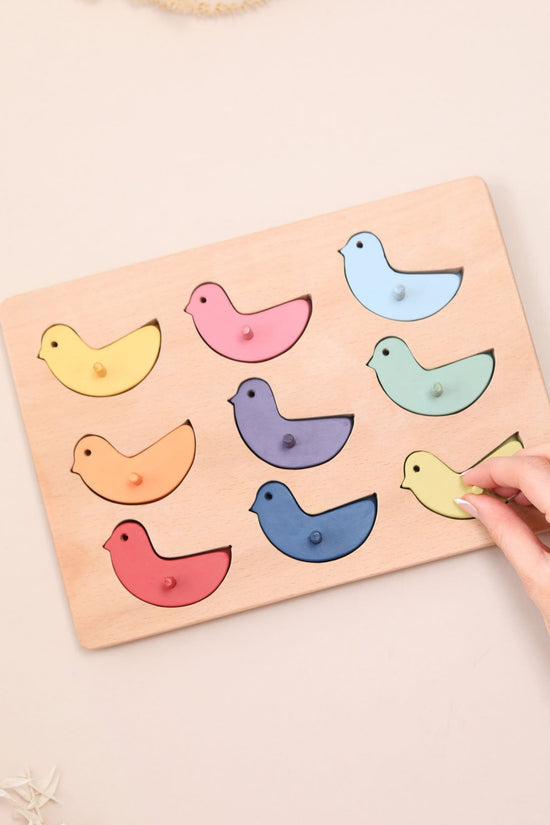 Colour Sorting Bird Peg Puzzle