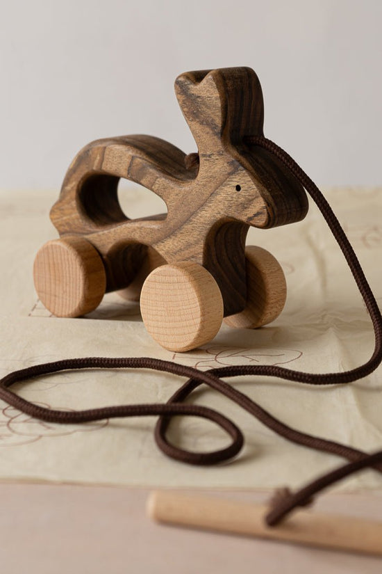 Wooden Pull Along Animal