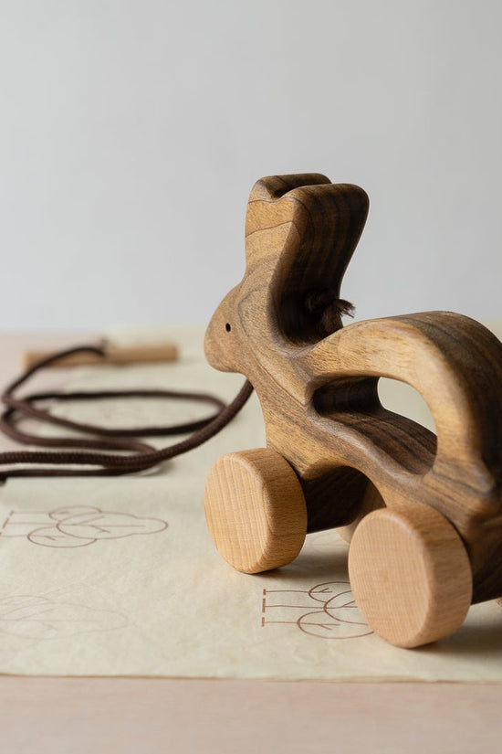 Wooden Pull Along Animal