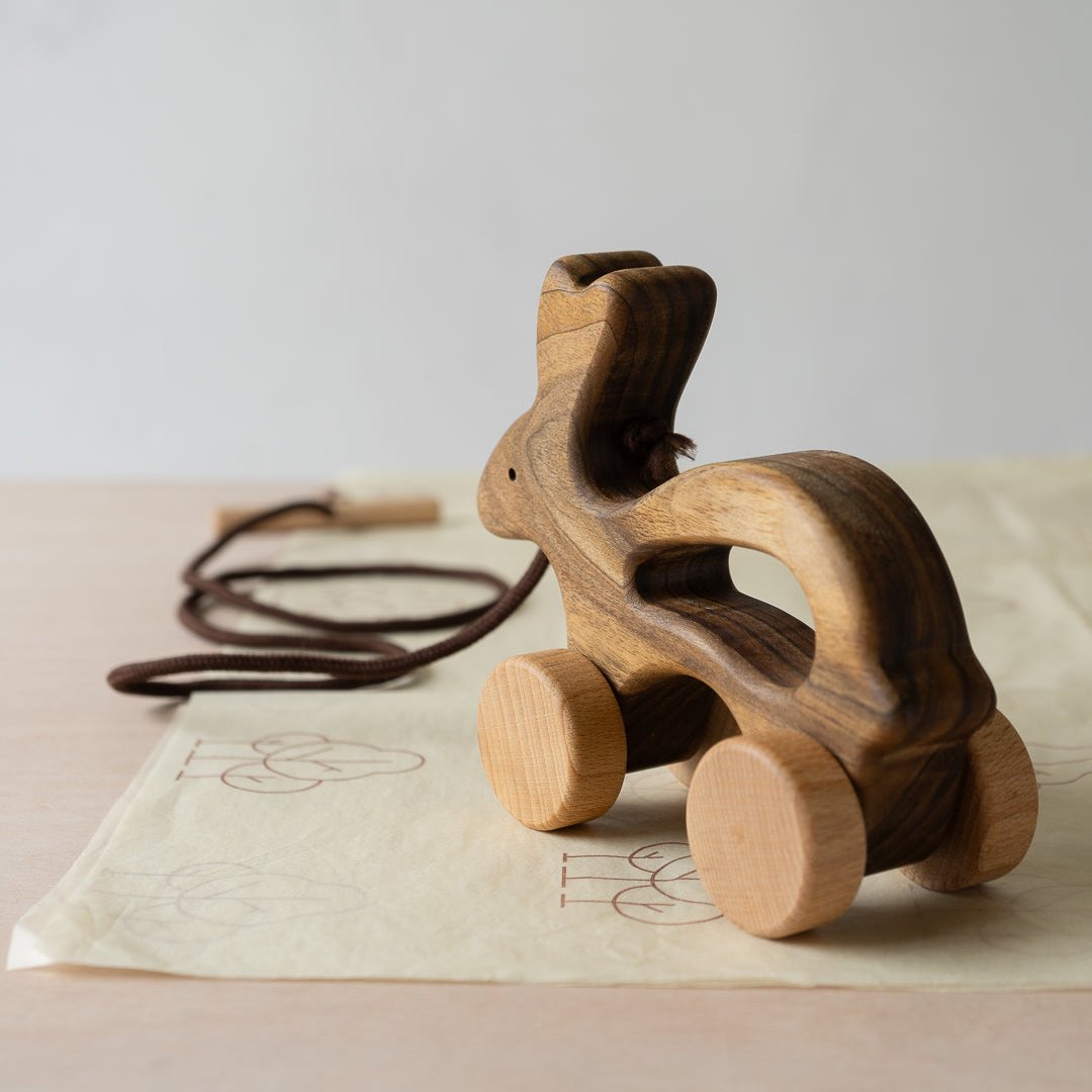 Wooden Pull Along Animal