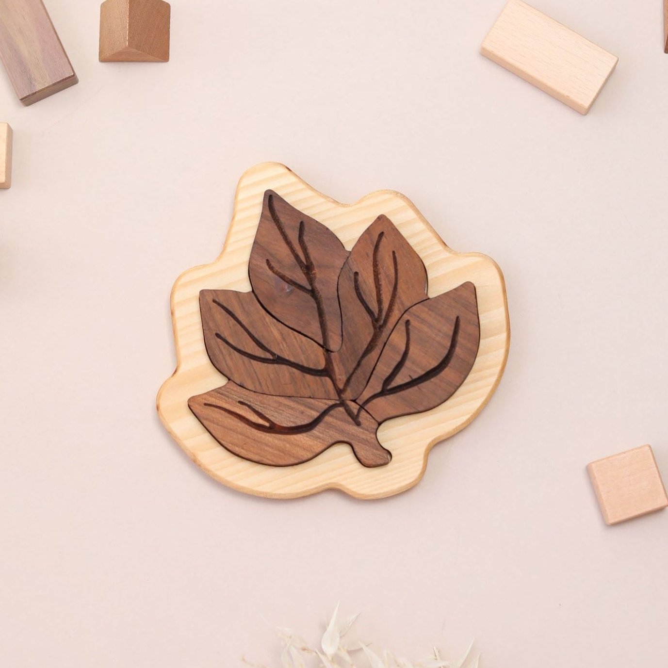 Leaf Puzzle