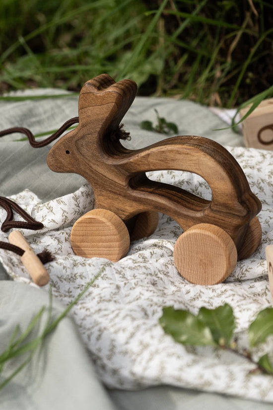 Wooden Pull Along Animal