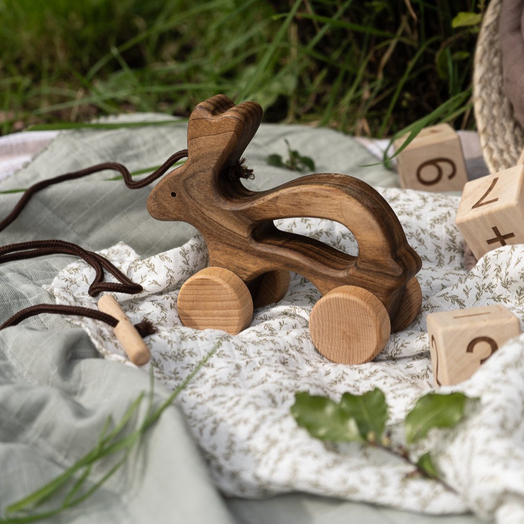 Wooden Pull Along Animal