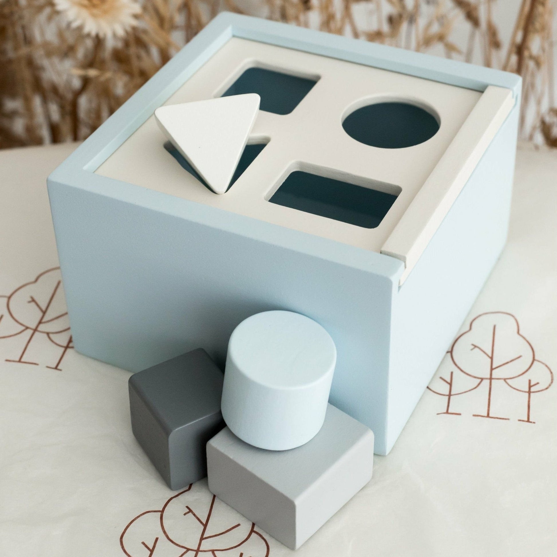 Shape Sorter