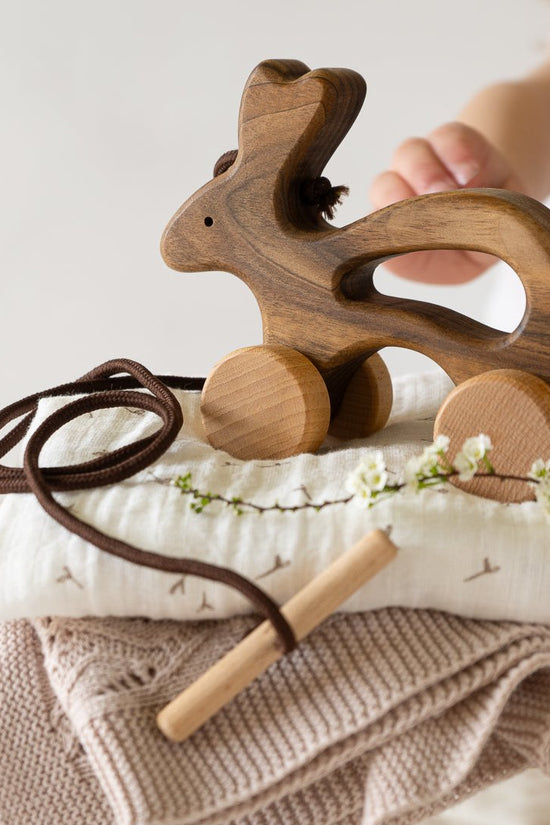 Wooden Pull Along Animal