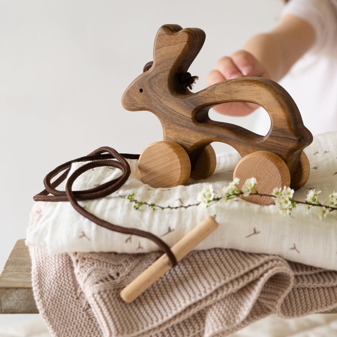 Wooden Pull Along Animal