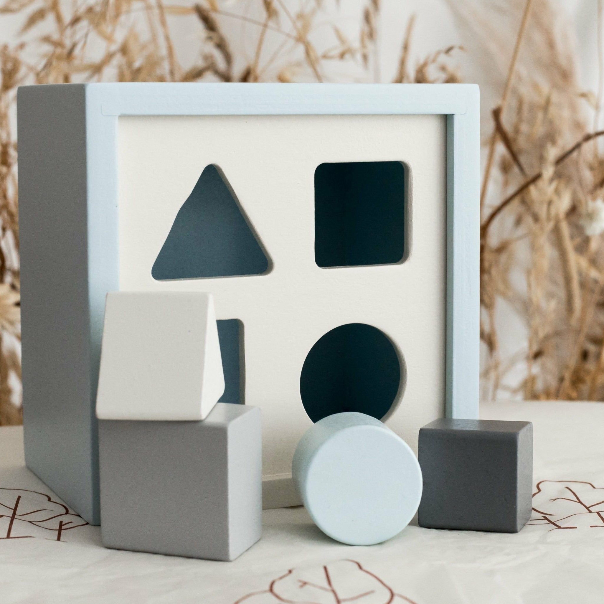 Shape Sorter