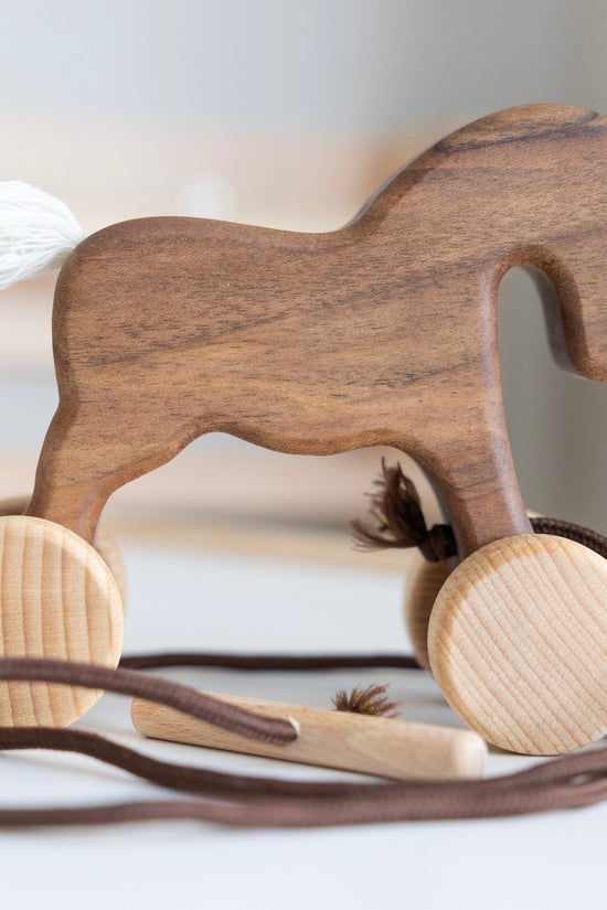 Wooden Pull Along Animal