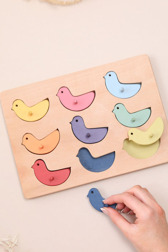 Colour Sorting Bird Peg Puzzle