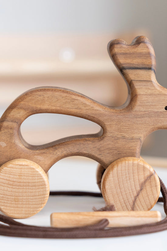 Wooden Pull Along Animal