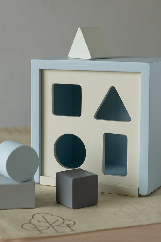 Shape Sorter