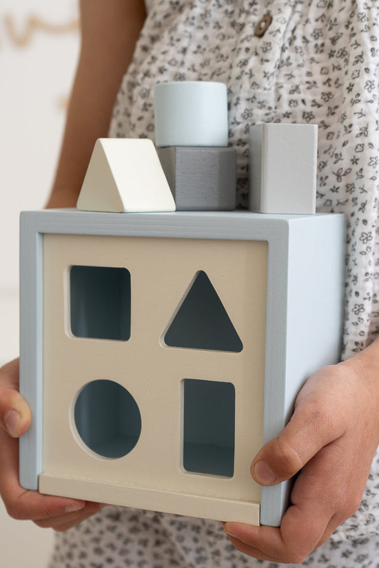 Shape Sorter